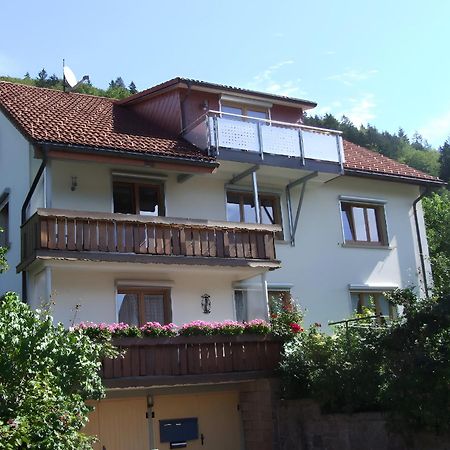 Haus Michler Daire Todtnau Dış mekan fotoğraf
