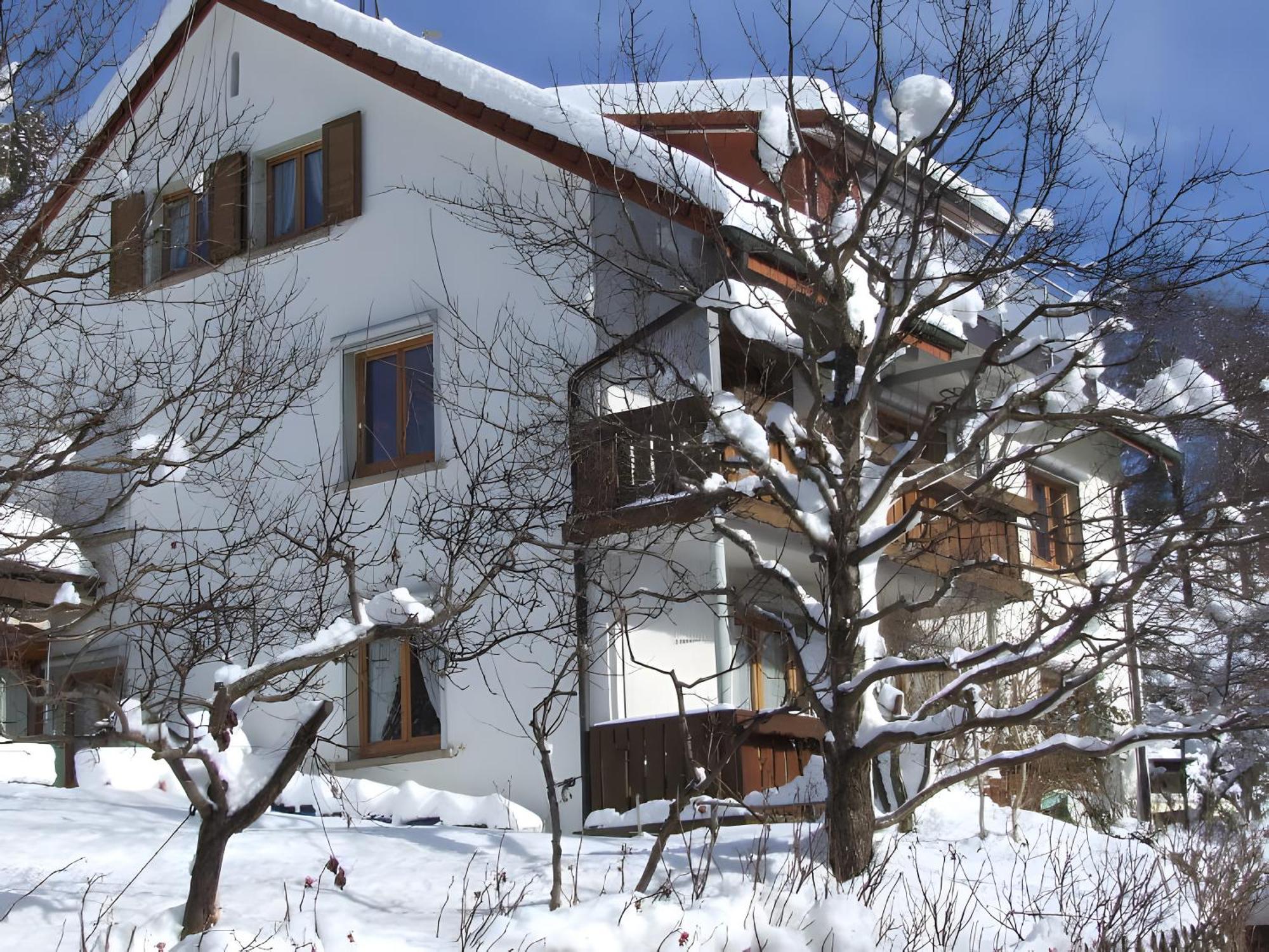 Haus Michler Daire Todtnau Dış mekan fotoğraf