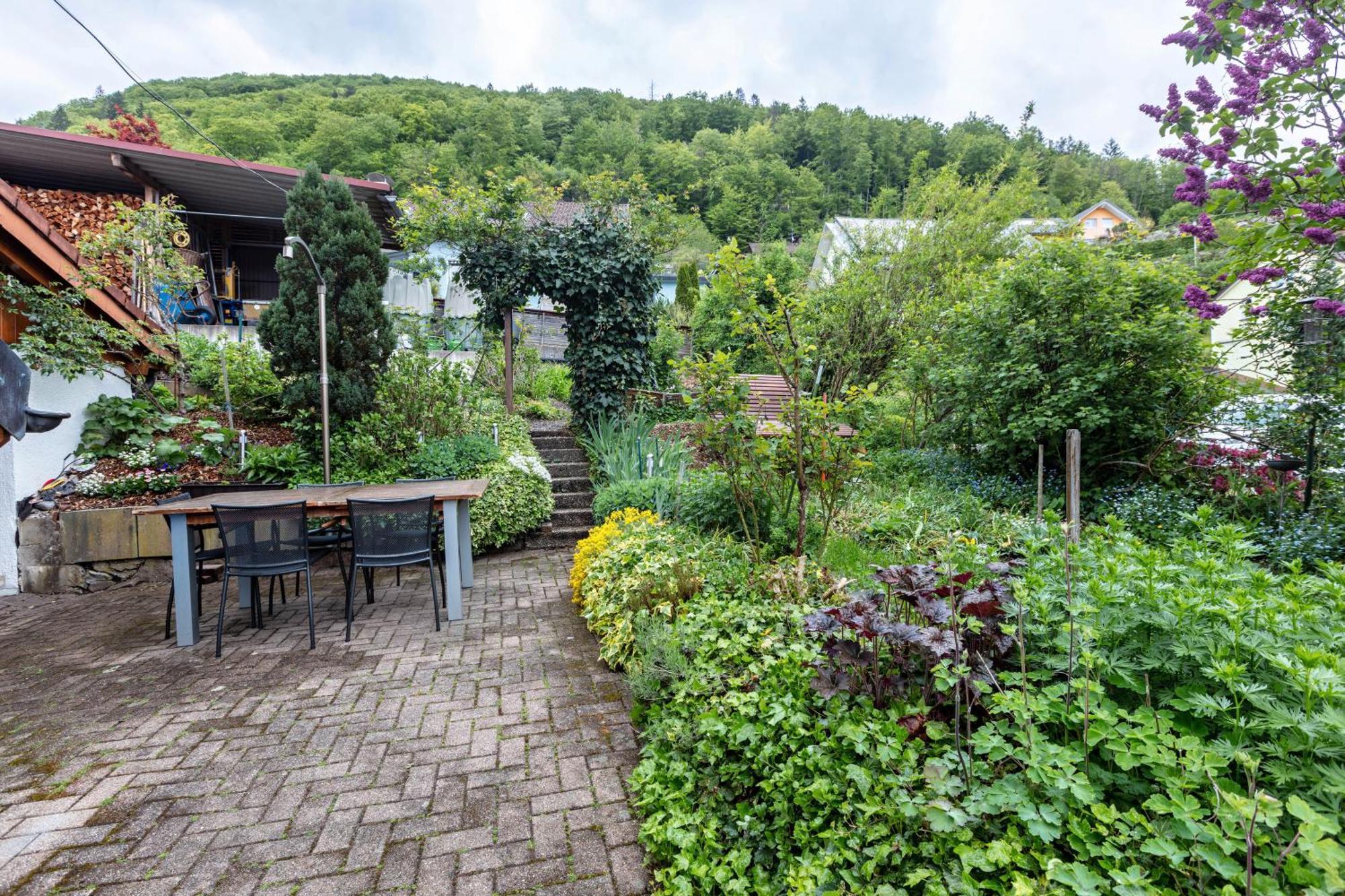 Haus Michler Daire Todtnau Dış mekan fotoğraf